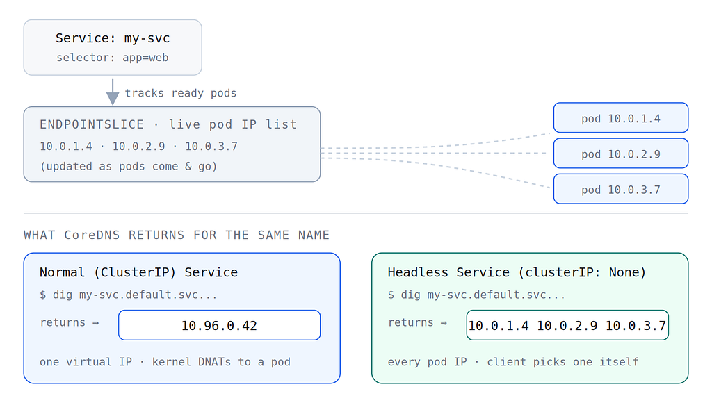 Сравнение ответов DNS для ClusterIP и headless Service