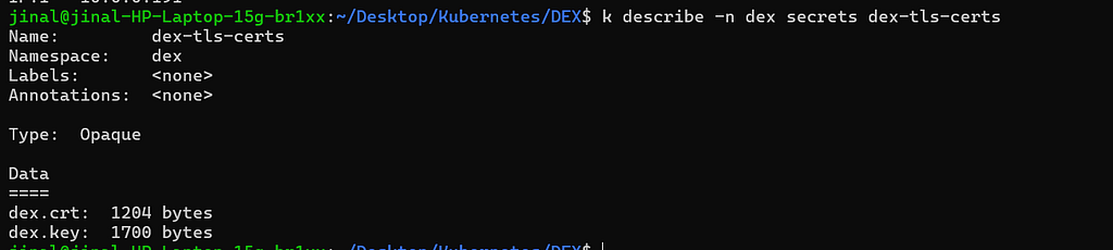 Вывод терминала с командой describe, показывающей dex.crt и dex.key в секции Data